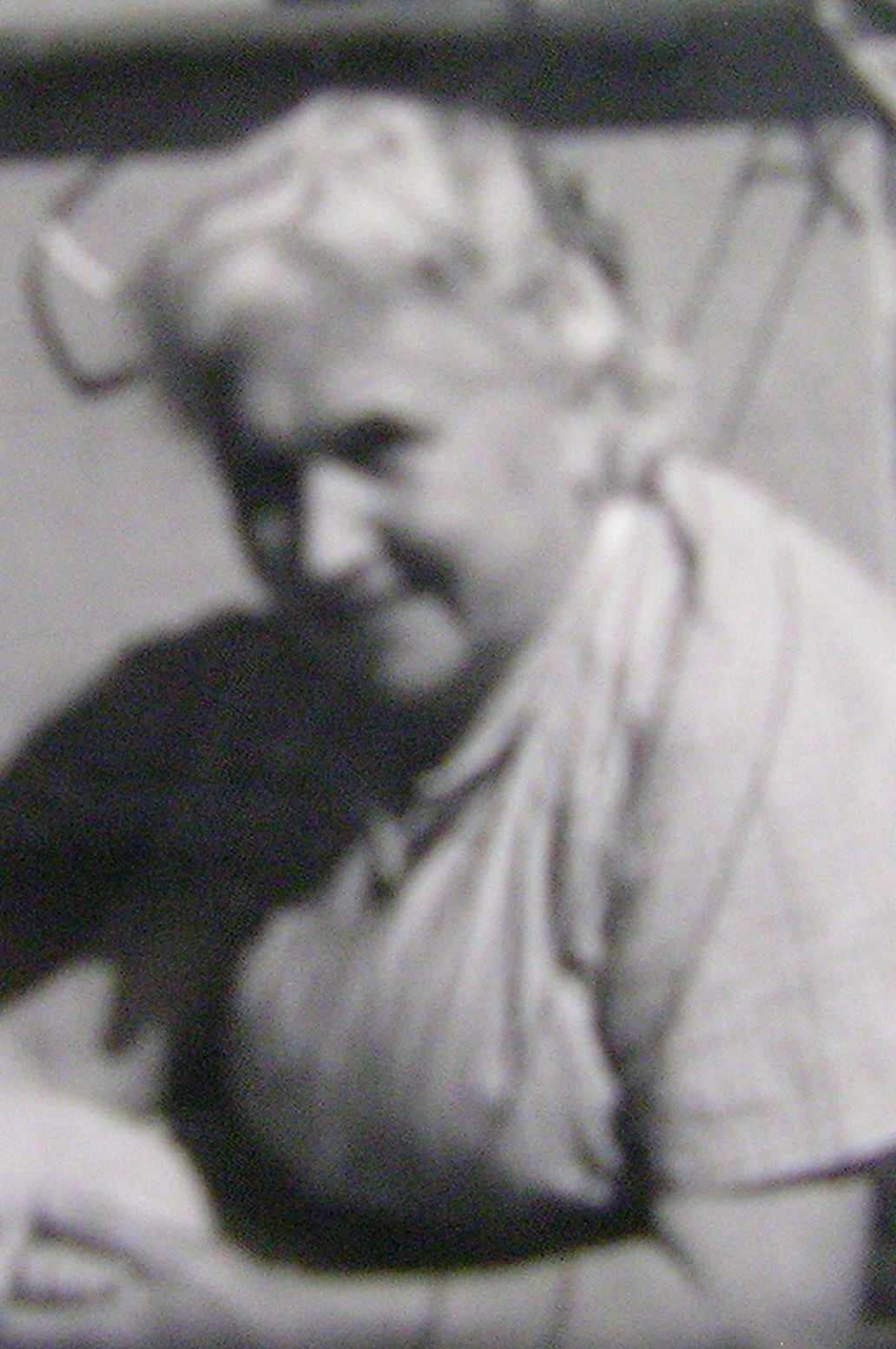 Victoire ALINC.jpg